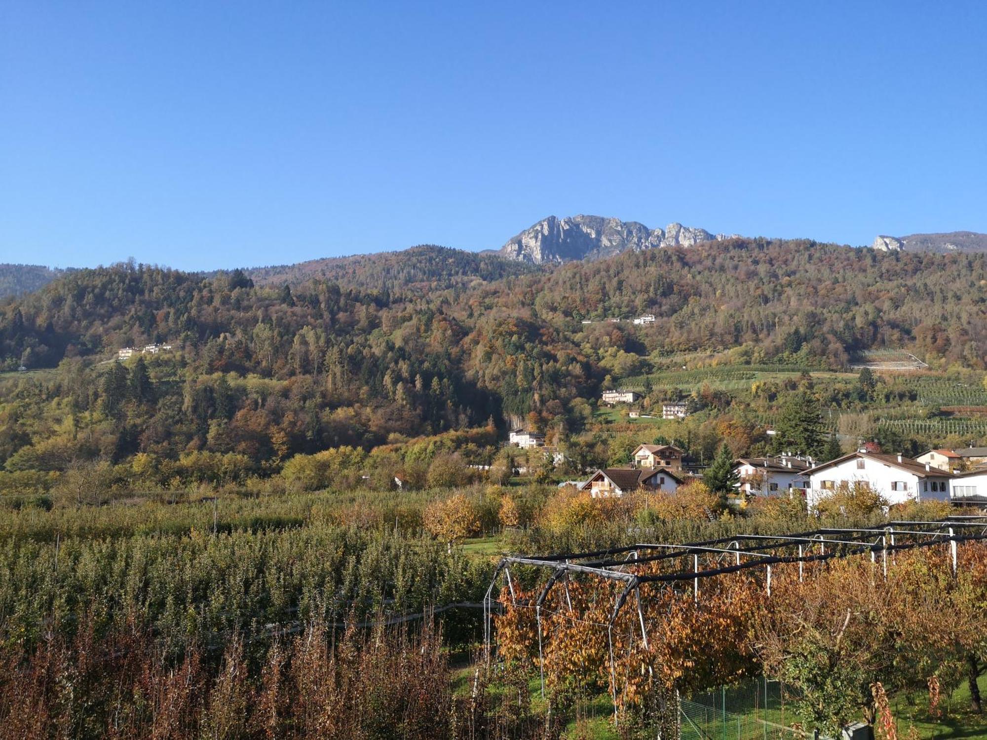 Appartamenti Casa Viviana Pergine Valsugana Zewnętrze zdjęcie